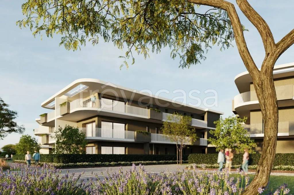 immagine annuncio 2 di 12