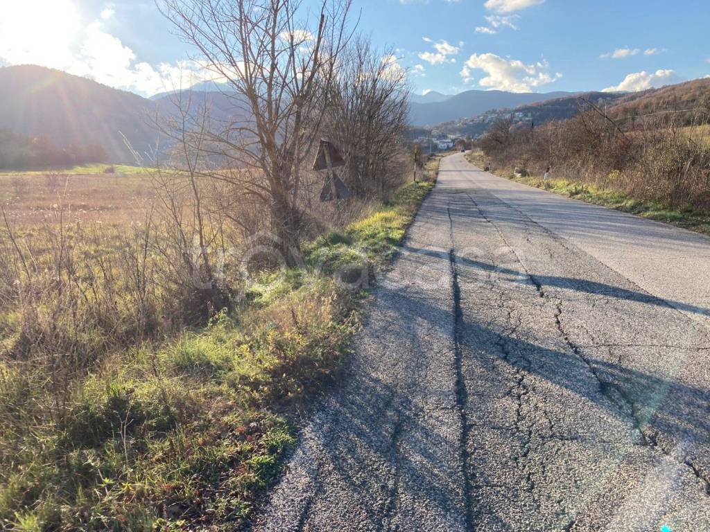 immagine annuncio 4 di 9