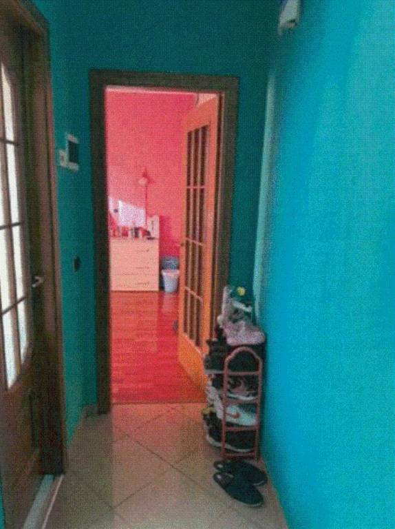 immagine annuncio 5 di 9