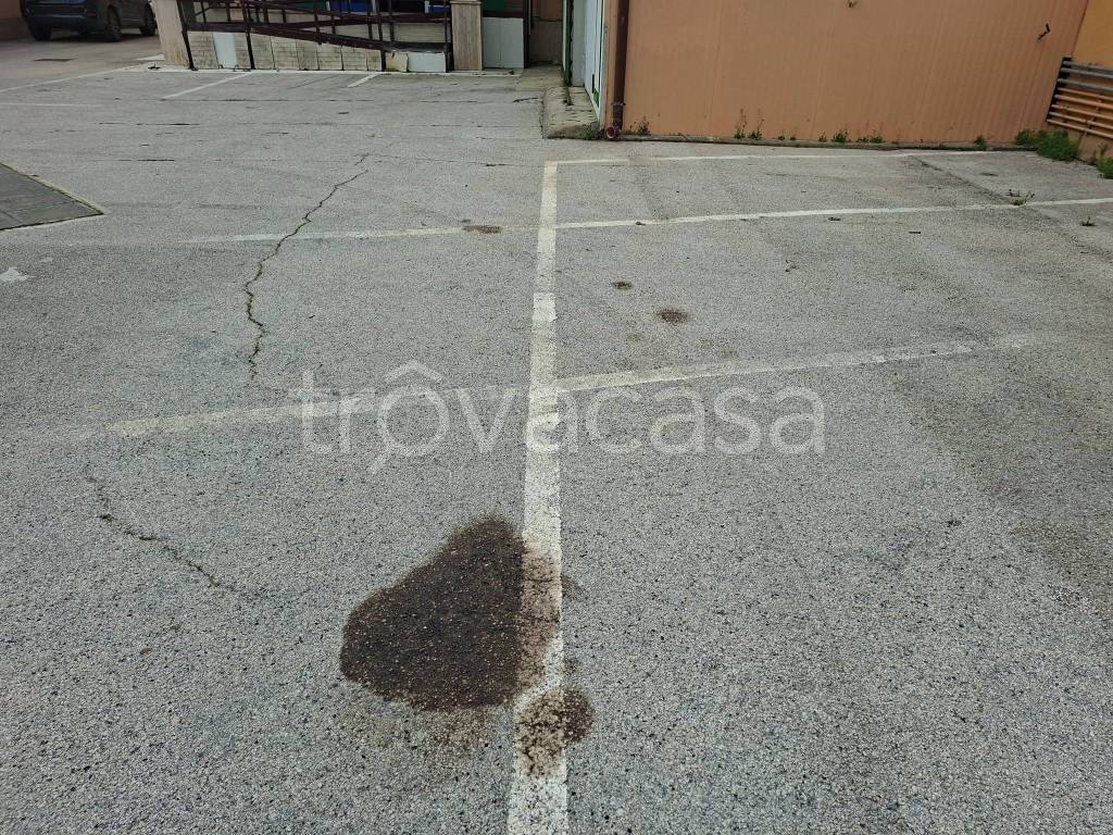 immagine annuncio 7 di 8