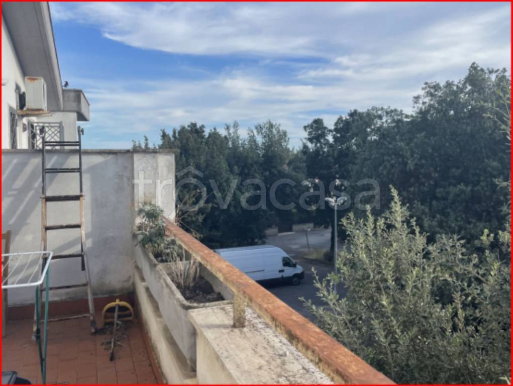 immagine annuncio 5 di 12