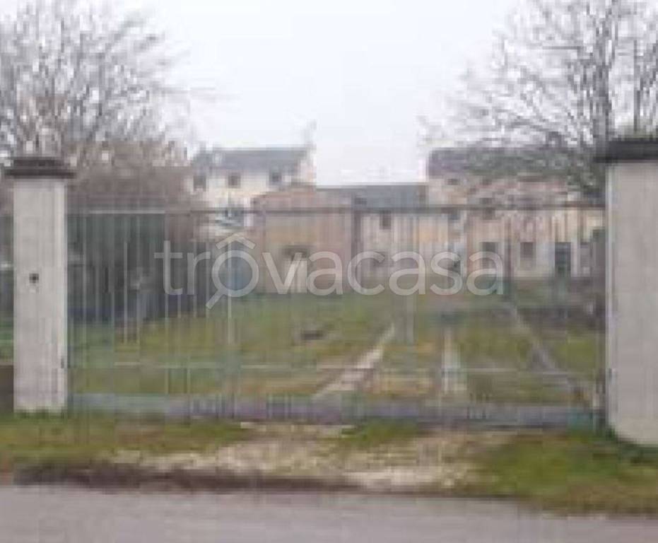 immagine annuncio 5 di 11