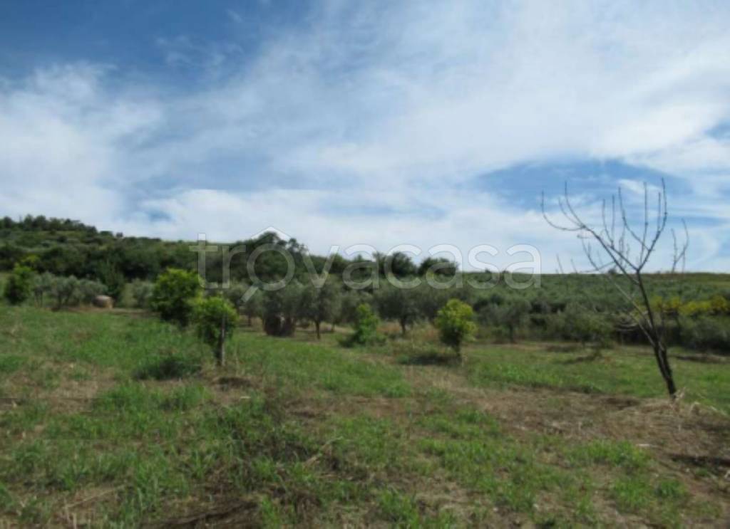 immagine annuncio 7 di 14