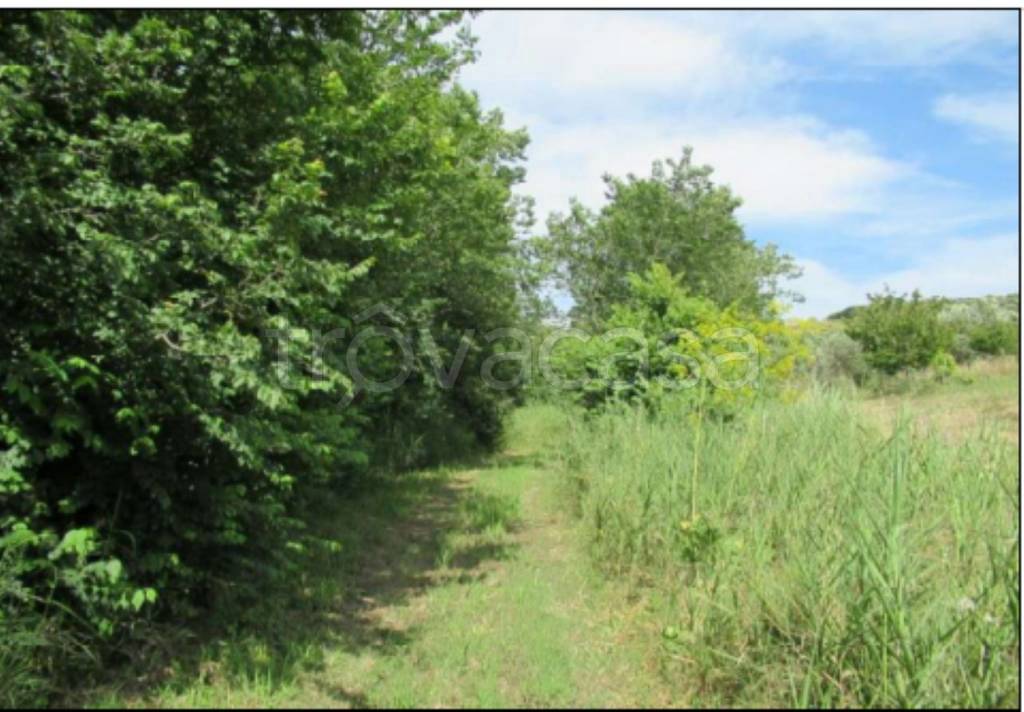 immagine annuncio 8 di 14