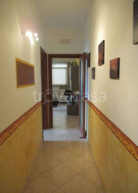 immagine annuncio 10 di 14