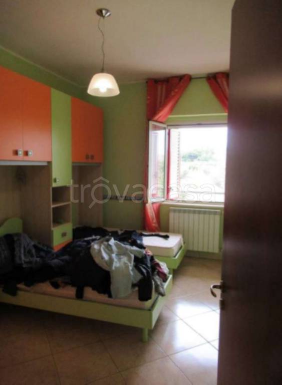 immagine annuncio 12 di 14