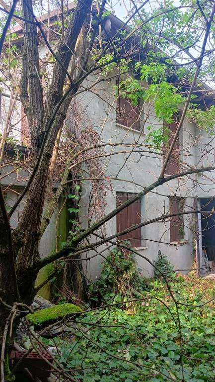 immagine annuncio 2 di 11