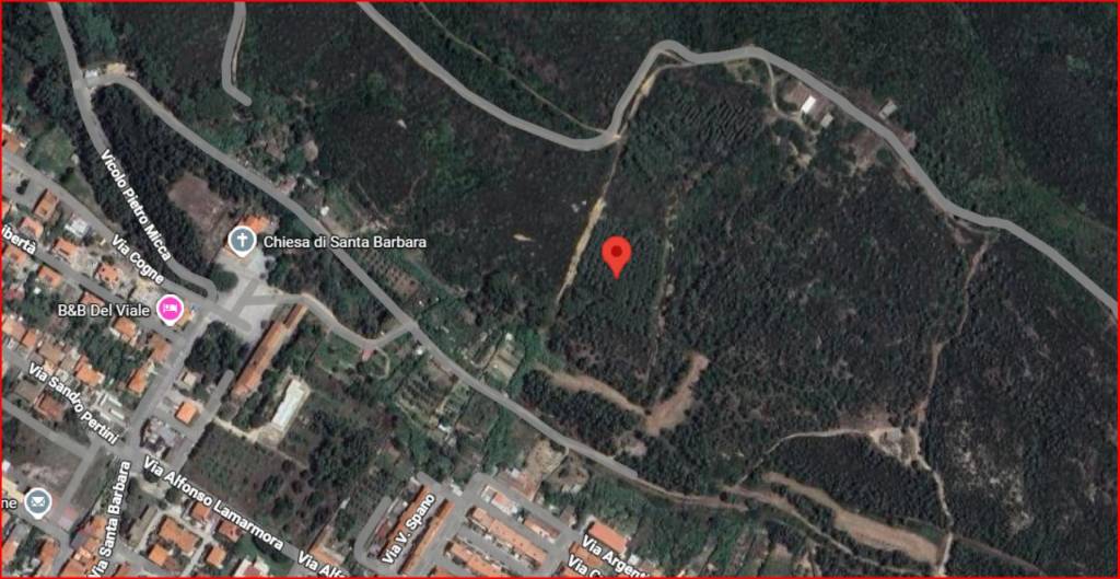 immagine annuncio 11 di 12