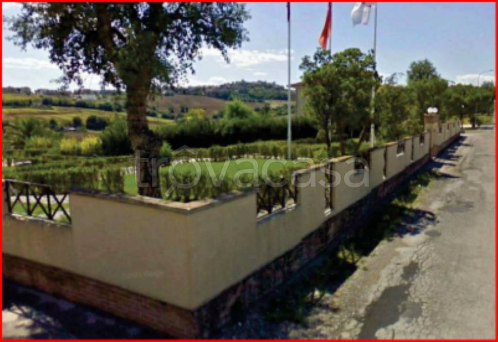 immagine annuncio 2 di 12