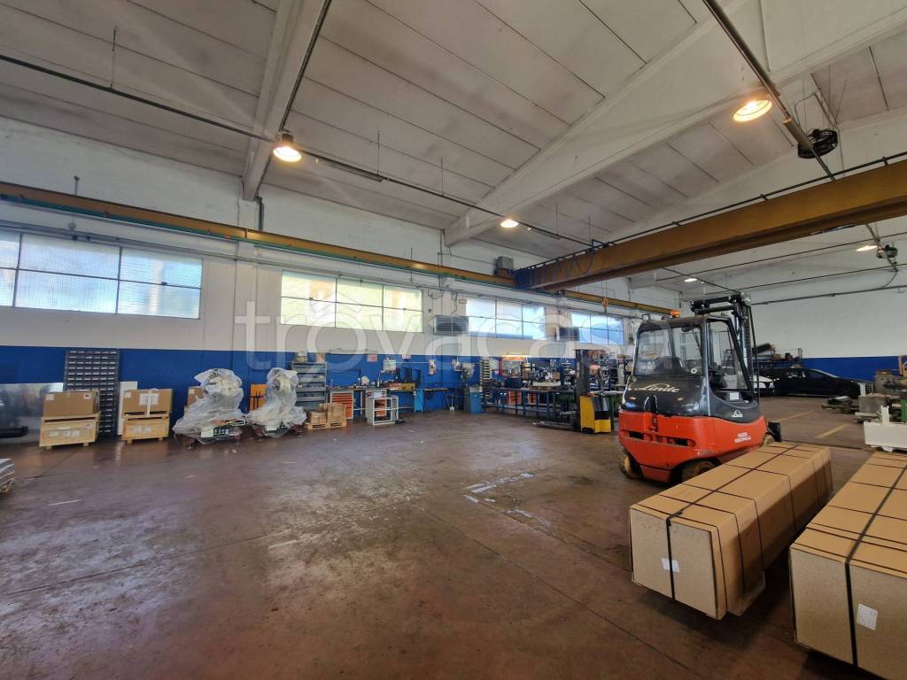 immagine annuncio 7 di 15