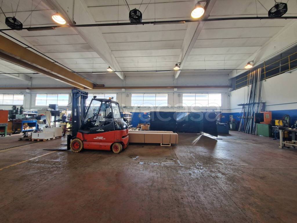 immagine annuncio 9 di 15