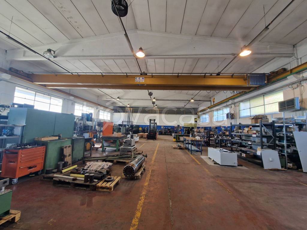 immagine annuncio 10 di 15