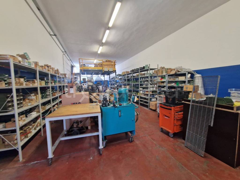 immagine annuncio 11 di 15