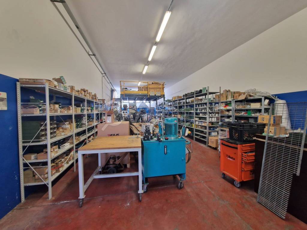 immagine annuncio 12 di 15