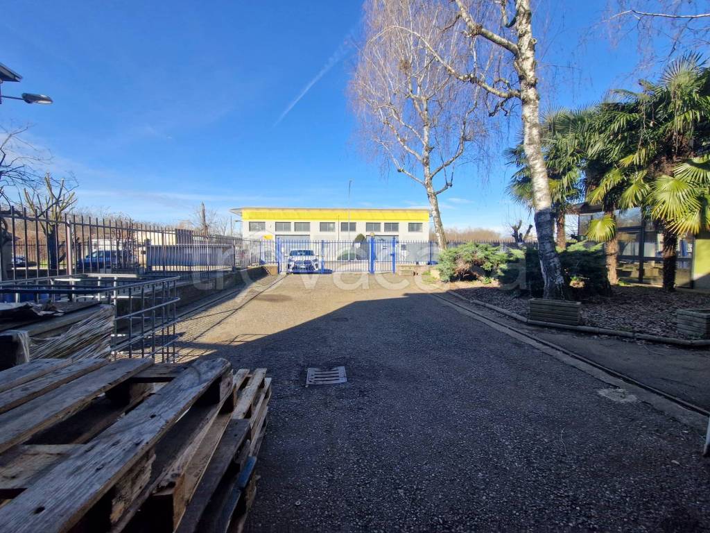 immagine annuncio 4 di 15