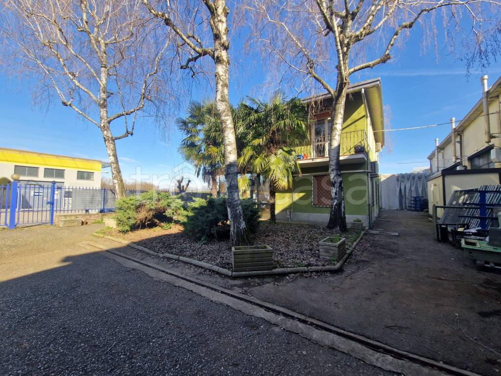 immagine annuncio 3 di 15