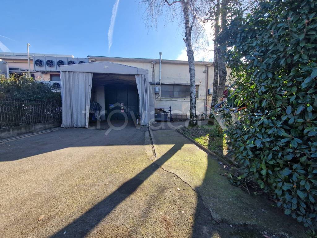 immagine annuncio 2 di 15