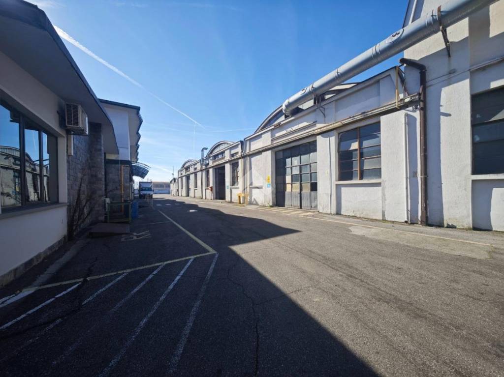 immagine annuncio 3 di 15