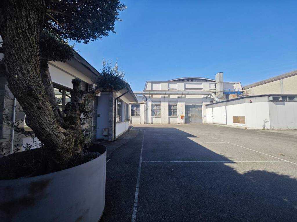 immagine annuncio 4 di 15