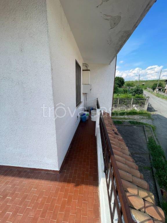 immagine annuncio 4 di 14