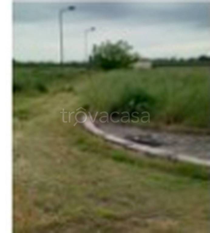 immagine annuncio 8 di 11