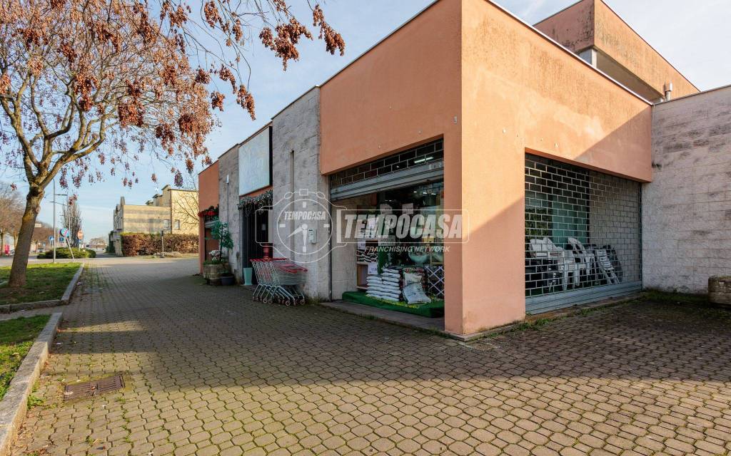 immagine annuncio 2 di 13