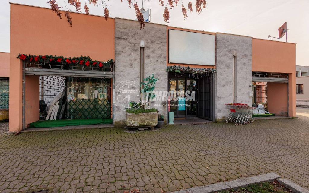 immagine annuncio 3 di 13