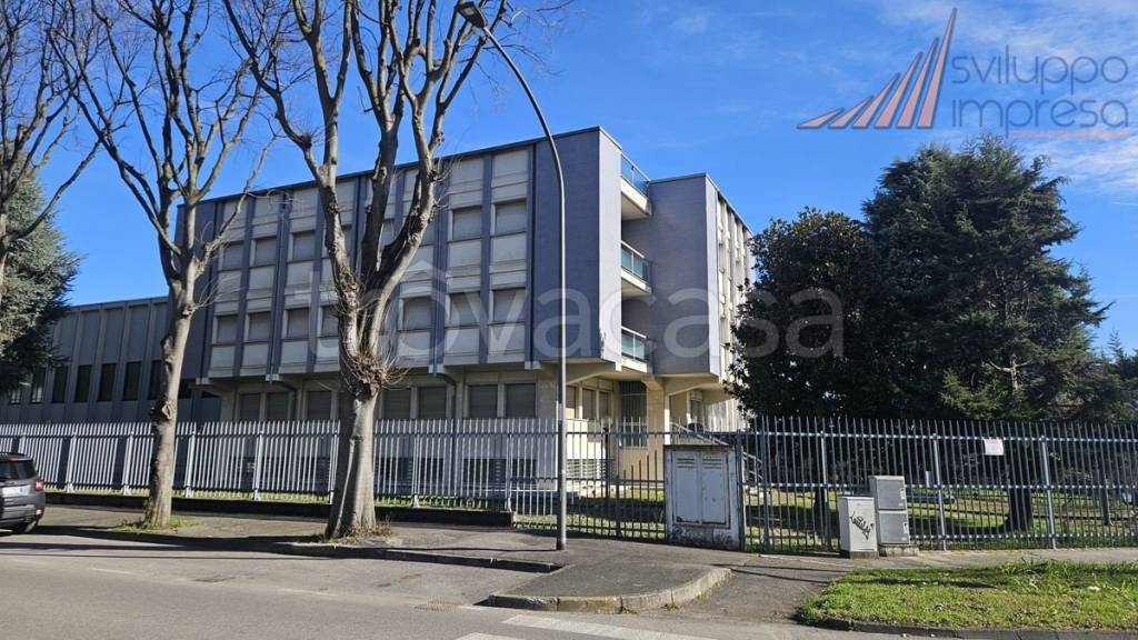 immagine annuncio 3 di 15