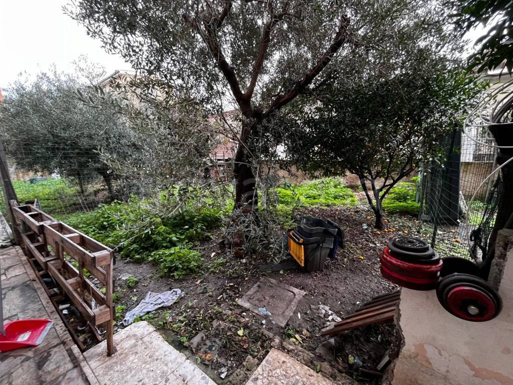 immagine annuncio 1 di 12