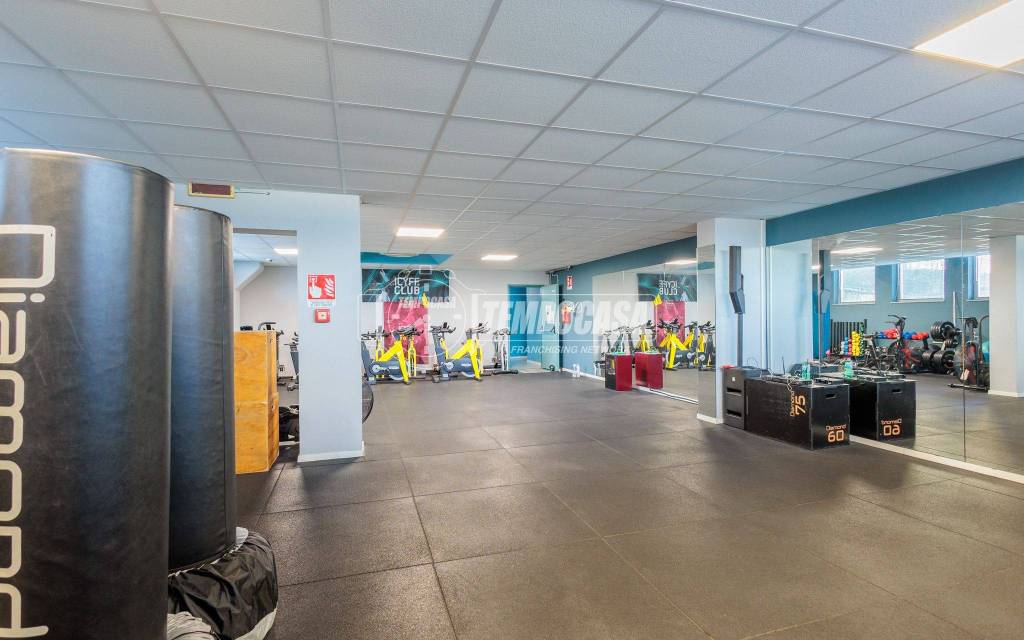 immagine annuncio 12 di 15