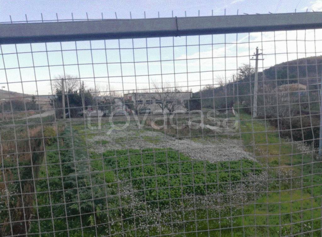 immagine annuncio 9 di 11