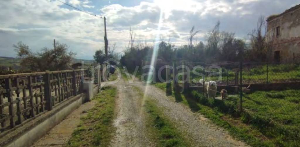 immagine annuncio 2 di 11