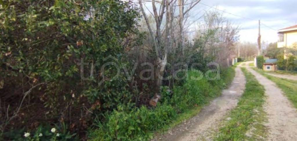 immagine annuncio 3 di 11