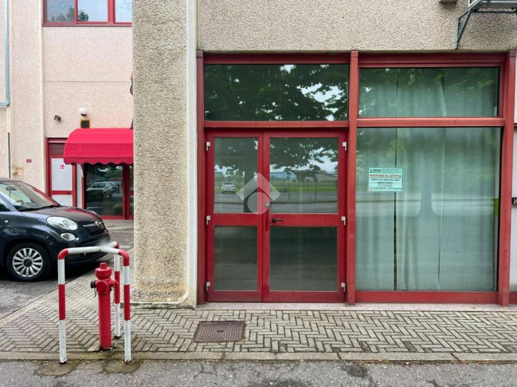 immagine annuncio 6 di 15