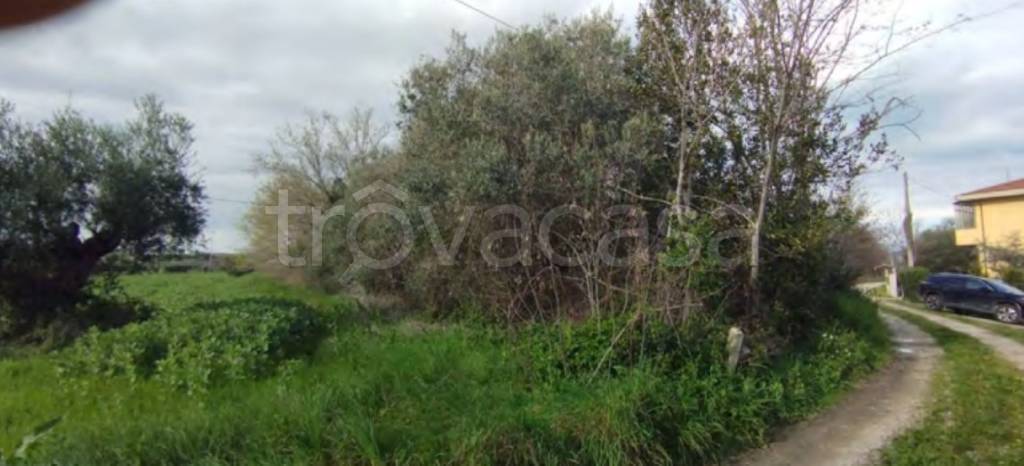 immagine annuncio 6 di 11