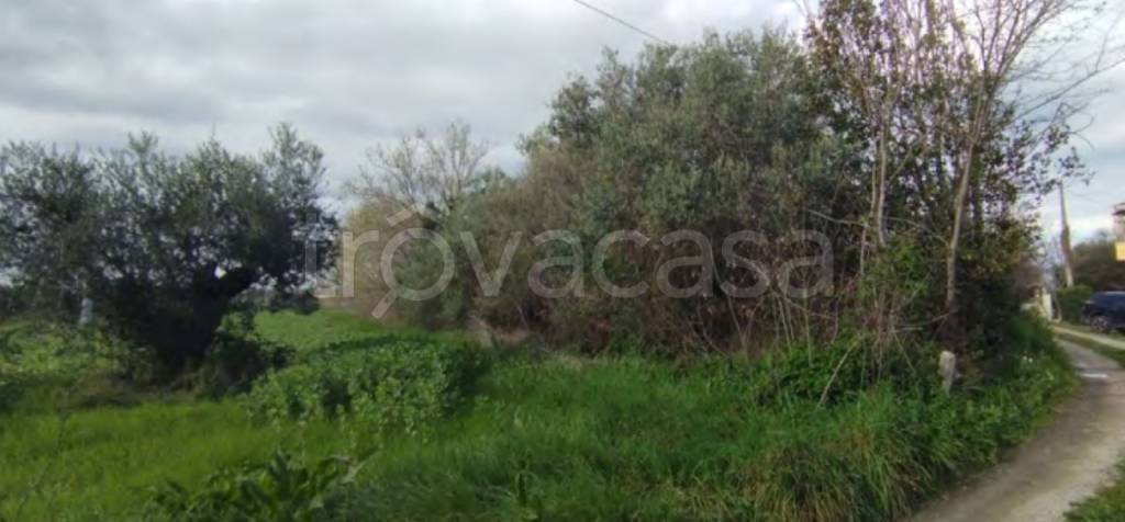 immagine annuncio 7 di 11