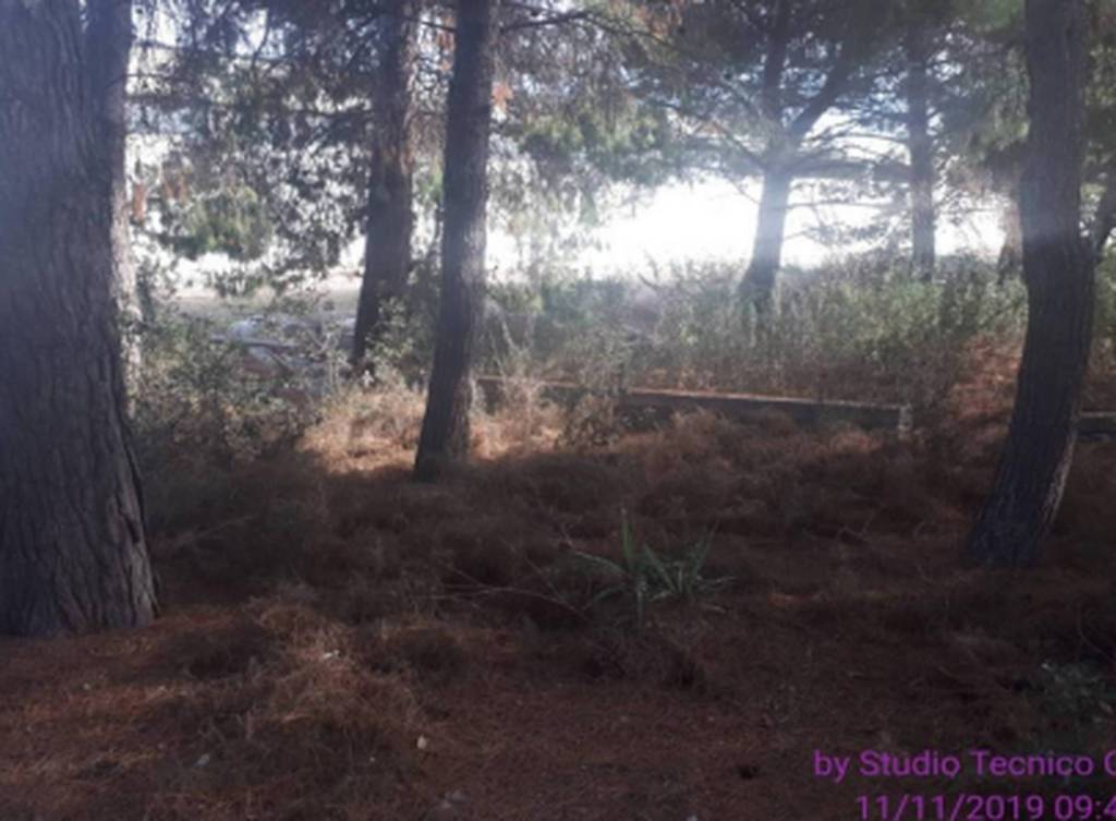 immagine annuncio 1 di 11