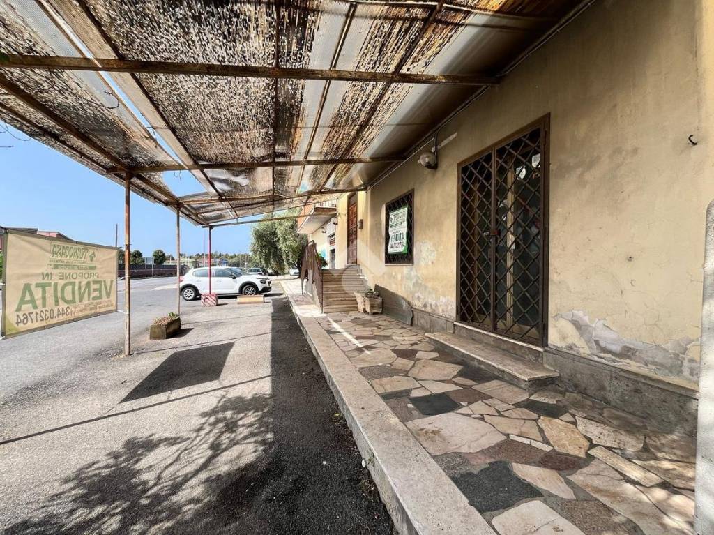 immagine annuncio 2 di 13