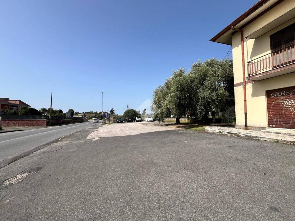 immagine annuncio 4 di 13