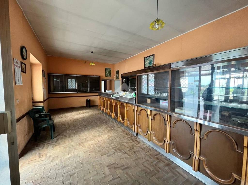 immagine annuncio 11 di 13