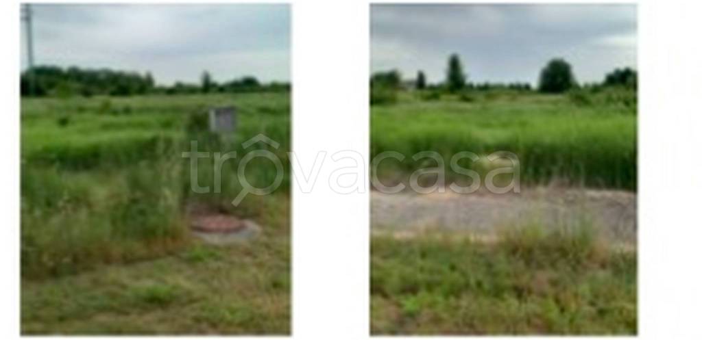 immagine annuncio 8 di 11