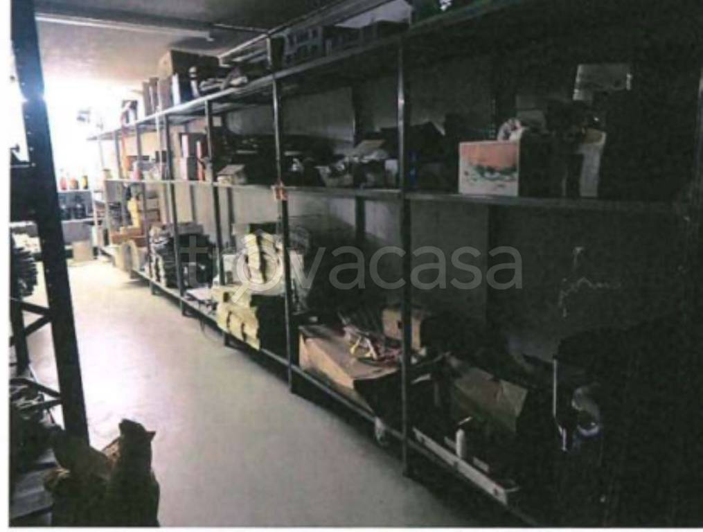 immagine annuncio 3 di 13