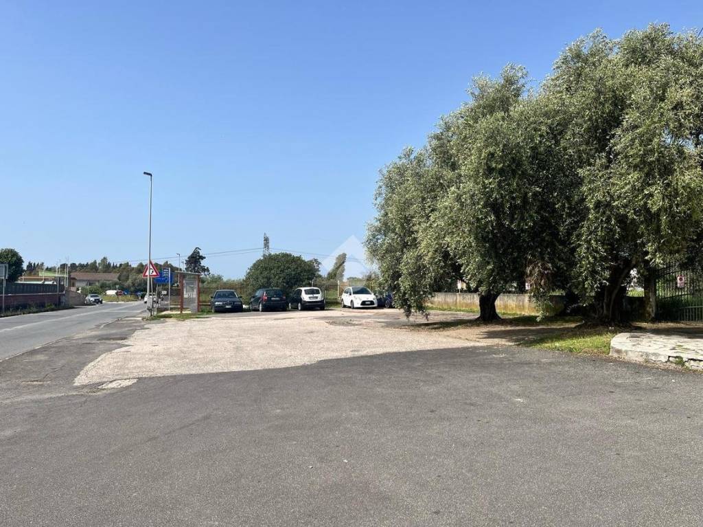 immagine annuncio 4 di 7