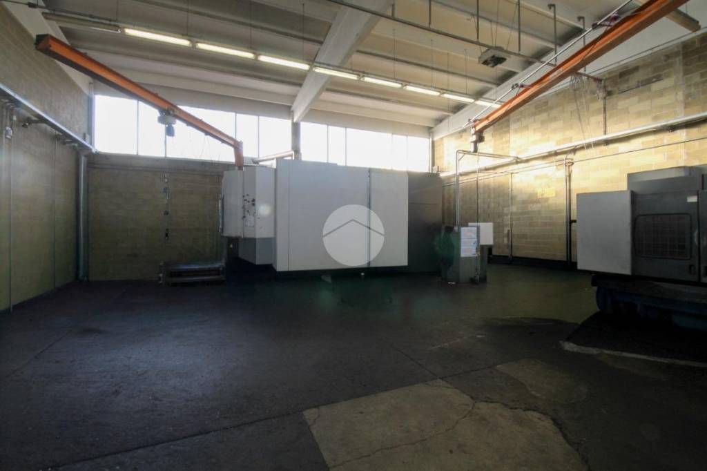 immagine annuncio 1 di 14