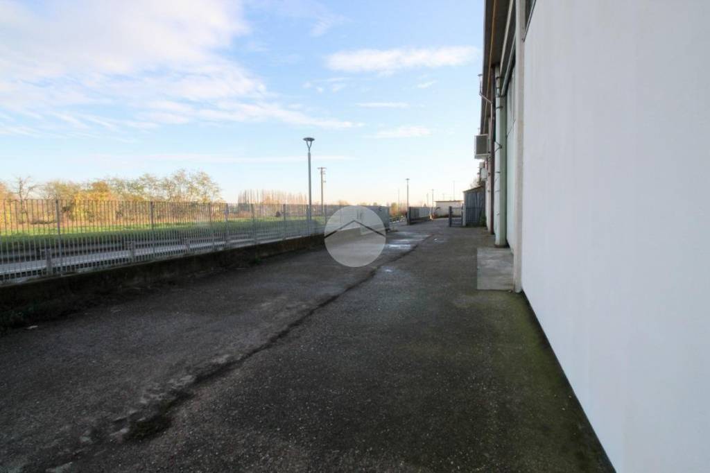 immagine annuncio 4 di 14