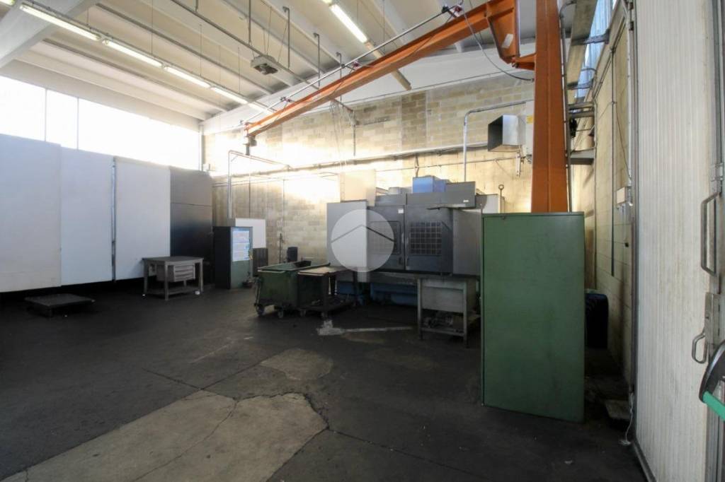 immagine annuncio 6 di 14