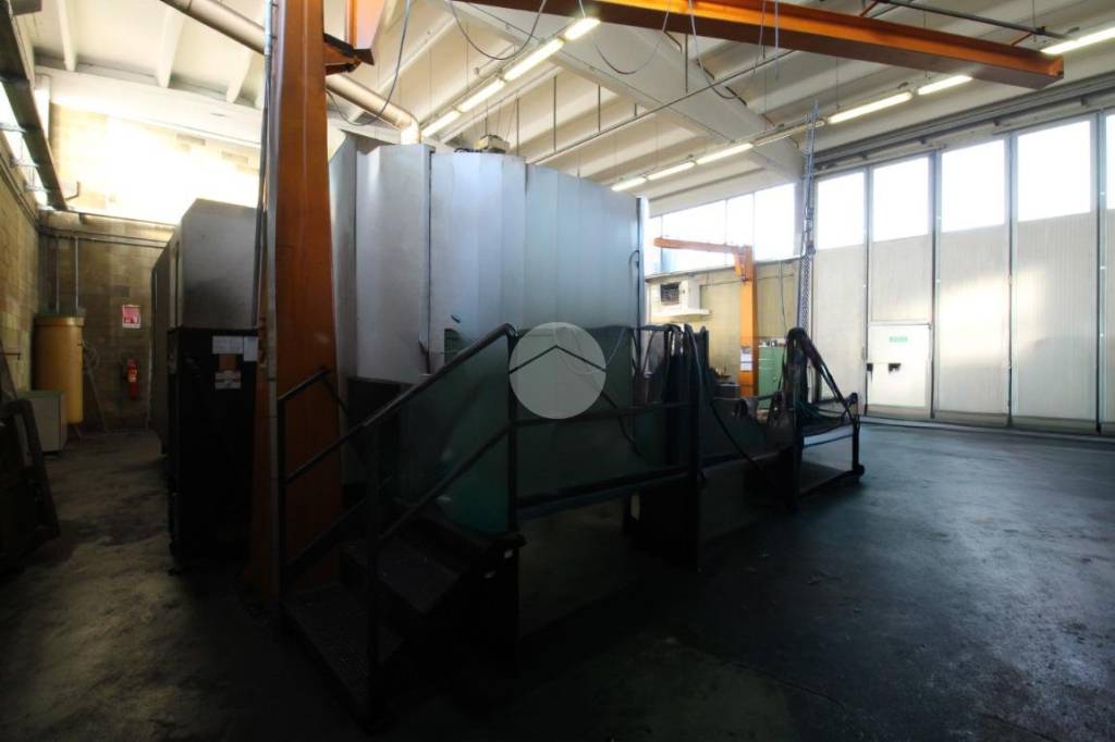 immagine annuncio 7 di 14