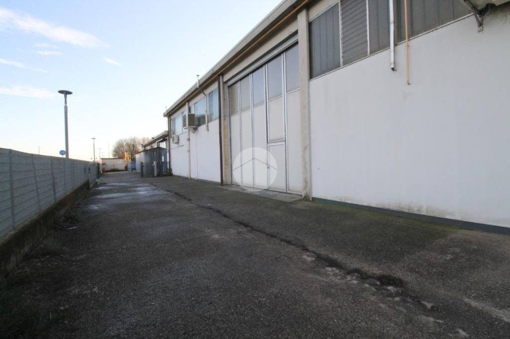 immagine annuncio 11 di 14