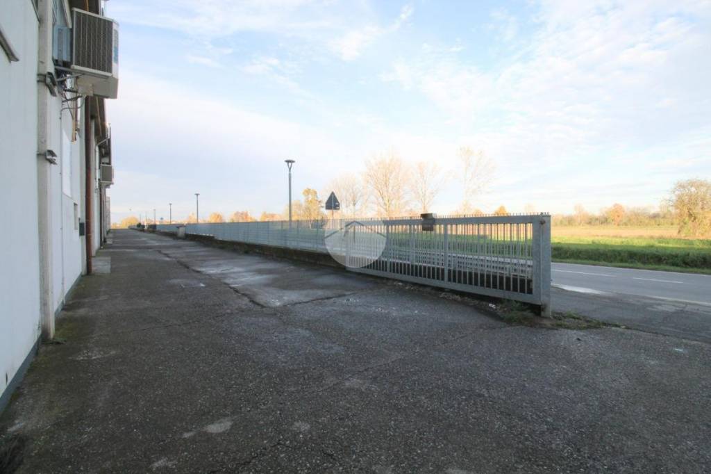 immagine annuncio 12 di 14