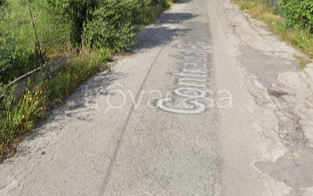 immagine annuncio 5 di 11